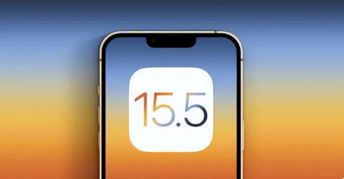 西安苹果手机维修分享iOS15.5 RC版升级建议 