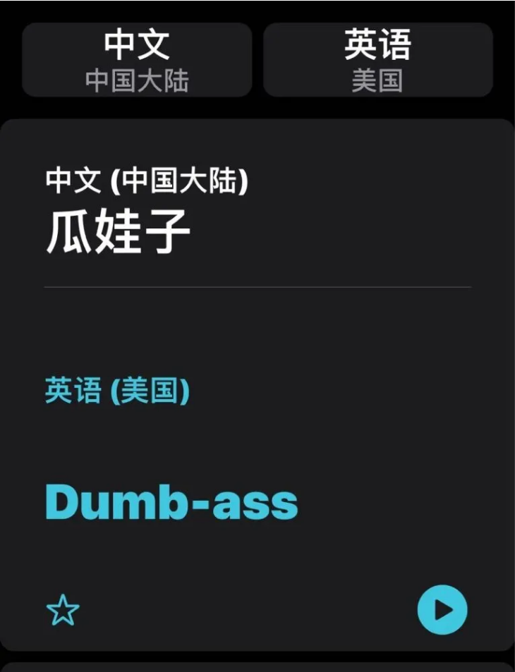 西安苹果手机维修分享iOS14的“翻译太懂了”怎么用 